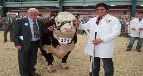 Staffordshire County Show