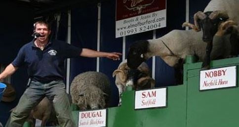 Staffordshire County Show 2015