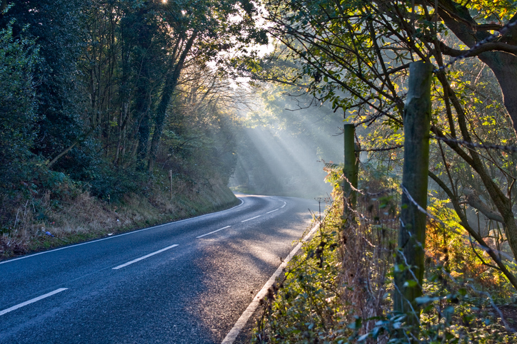 Sunbeams shine through trees on a road through Cannock Chase, Staffordshire, UK stock photo