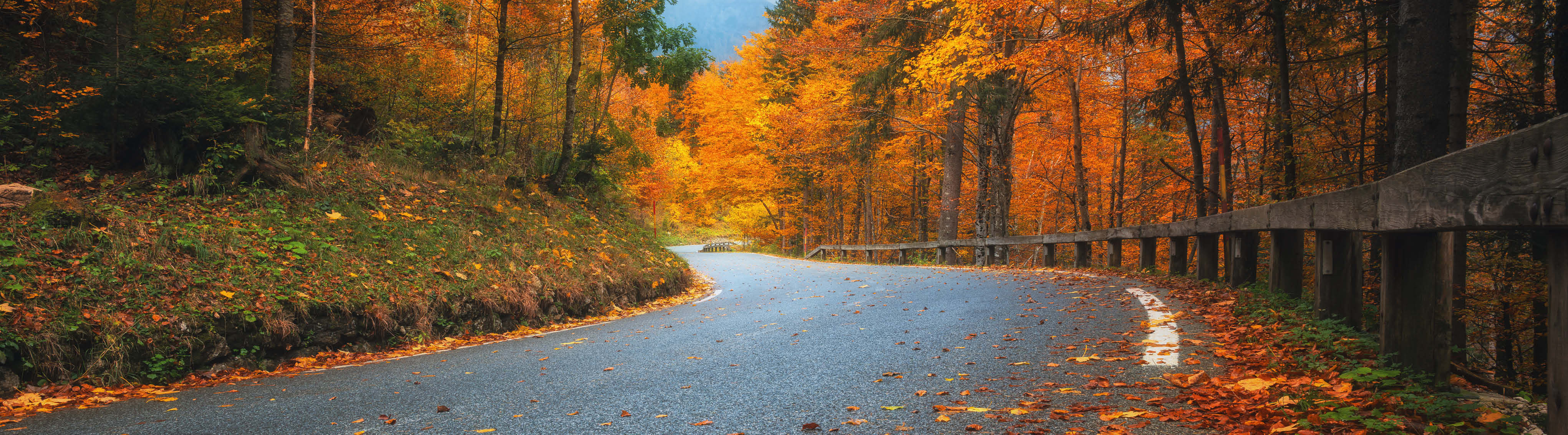 Ready for Autumn?